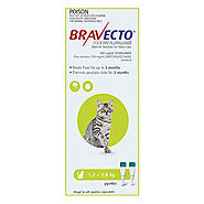 Bravecto Spot On For Small Cats (1.2 - 2.8 kg) Light Green