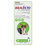 Bravecto Spot On for Medium Dogs (10 - 20 kg) Green