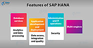 SAP HANA Features - 7 Unique Reasons to Learn SAP HANA - DataFlair