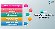 Data Warehousing in SAP HANA - Components, Methods, Working & Benefits - DataFlair