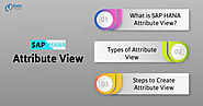 SAP HANA Attribute View - Create Attribute View in 9 Easy Steps - DataFlair