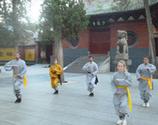 Shaolin Temple Kung Fu School China- LearnKungFus.com