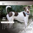 PAL, Thane - Pet Owners and Animal Lovers