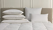 Buy Cushions Online: Goose Down And Duck Down Pillows – Piczasso.com