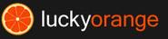 Lucky Orange Chat & Visitor Recordings