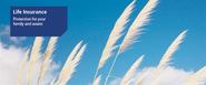 life insurance - Google Search