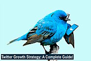 Twitter Growth Strategy : A Complete Guide!