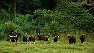 Kui Buri National Park