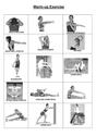 Warm Up Exercises