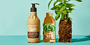 20 Brands That Make Reducing Your Environmental Impact Easy, Thanks to Sustainable Packaging