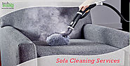 Find Some Easy Cleaning Solutions For Sofa And Couch