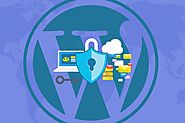 Tip To Protect Your WordPress Website With Maximum Security - SFWPExperts