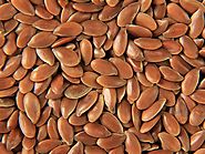 Flaxseed Suppliers | Linseed Suppliers | Organic Flaxseed Exporters