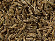 Cumin Exporters | Organic Cumin Seeds Manufacturers & Suppliers