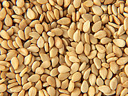 Sesame Suppliers | Organic Sesame Seeds Manufacturers, Exporters