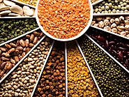 Lentil Suppliers | Beans Manufacturers, Exporters | Organic Products India