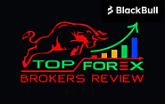 BlackBull Review 2024: An In-Depth Look by Top Forex Brokers Review [Updated]