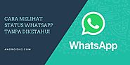 Cara Melihat Status WhatsApp Tanpa Diketahui Orang Lain