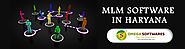 MLM Software Haryana | MLM Software Development Company