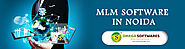 MLM Software Noida | MLM Software Development Company