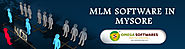 MLM software development company in Mysore Gulbarga Hubli Mangalore