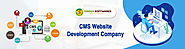 CMS Website Development Company | CMS Developers Mumbai