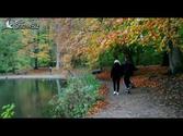 Autumn in Aarhus, Denmark