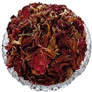 HIBISCUS FLOWER BENEFITS AND USES