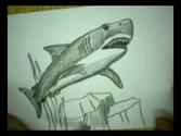 ArtSnacks Great White Shark