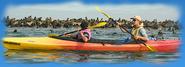 :: Eco Marine Kayak Tours - Home Page ::