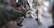 Here's The Story Behind Army Dog Saluting Top Army Commander - Viral Bake