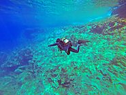 Diving in the Myeik Archipelago
