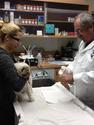 Animal Clinic and Pet Veterinarian Services
