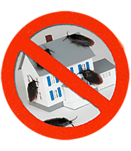Pest Control Removal Services Montgomery County PA