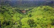 TMI : Monsoon Trek to Torna Fort on 19th July 2014, Saturday