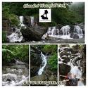 VRangers Waterfall trek to Chanderi on 20th July 2014
