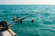 $99 for a Six-Hour Deep Sea Fishing Charter with Equipment and BBQ at Fremantle Fishing Charters ($305 Value)