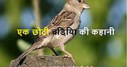 Hindi Inspirational Story || एक छोटी चिड़िया की कहानी - Moral Stories in Hindi