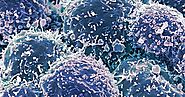 Why your immune system is key in the fight against cancer - Dream Health