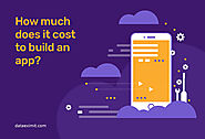 How much does it cost to build an app? | Data EximIT