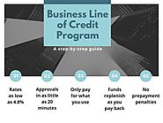 How Business Line of Credit works?