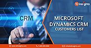 Microsoft Dynamics CRM Customers List