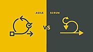 Agile vs Scrum: Choose the apt software development model for your projects! - Business Partner Magazine