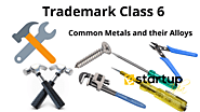 Trademark Registration for Common Metals and Alloys: Trademark Class 6