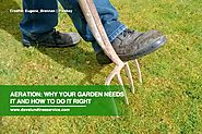 Aeration: Why Your Garden Needs It and How to Do It Right | Dave Lund Tree Service and Forestry Co Ltd.