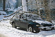Tips in Handling a Tree Damaged by a Storm | Dave Lund Tree Service and Forestry Co Ltd.