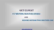 Expert CV Writing Services Dubai, Resume Distribution Services UAE