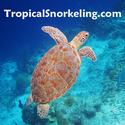 Tropical Snorkeling - Tips On Locations, Equipment & Safety