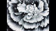 (171) Black and white - Reverse flower dip with paper towel