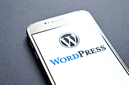 WordPress Development Agency in Singapore | Web Development Company